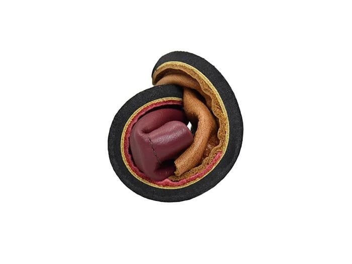 Softstar Rambler — AGED Whiskey / Cranberry · Regular · для детей, фото 4