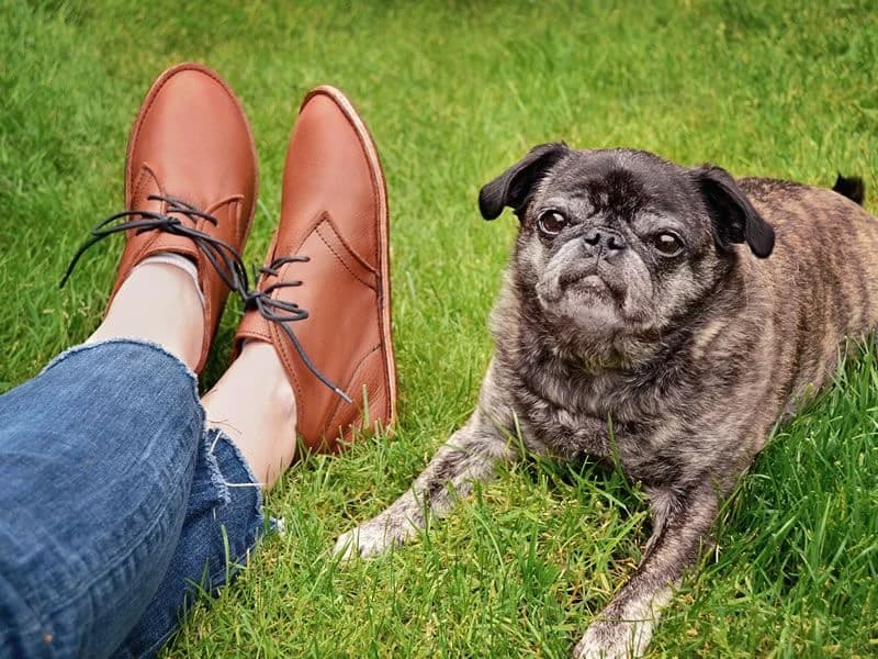 Softstar Hawthorne Chukka - Leather Sole — Hickory · Regular, Tan Bullhide Leather · для взрослых, фото 6