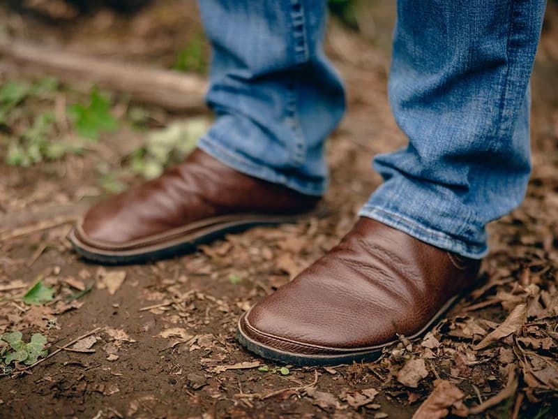 Softstar Rogue — AGED Walnut · Regular · для взрослых, фото 6