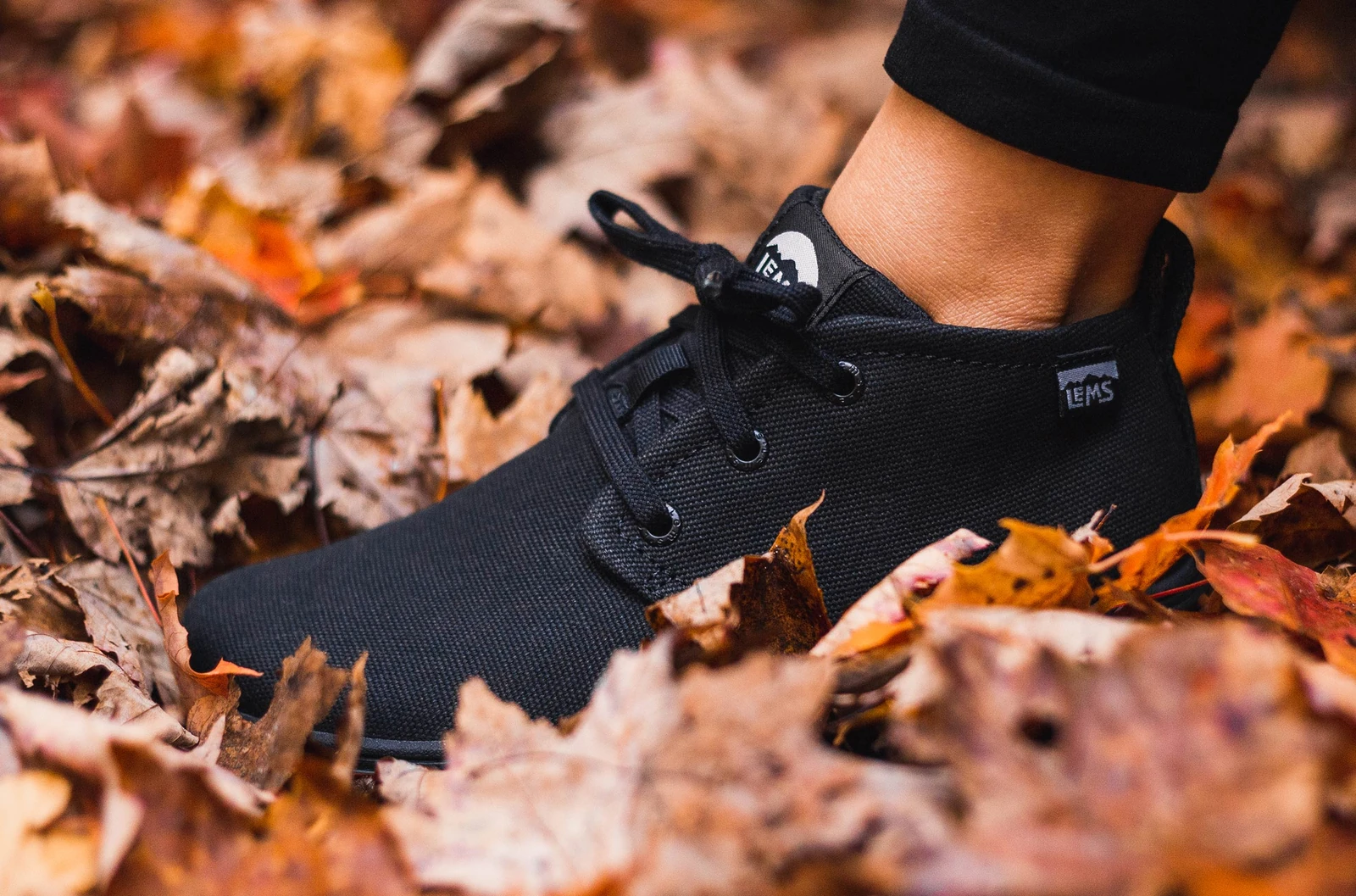 Lems Chukka Canvas (Discontinued) — Blackout - FINAL SALE (женские), фото 2
