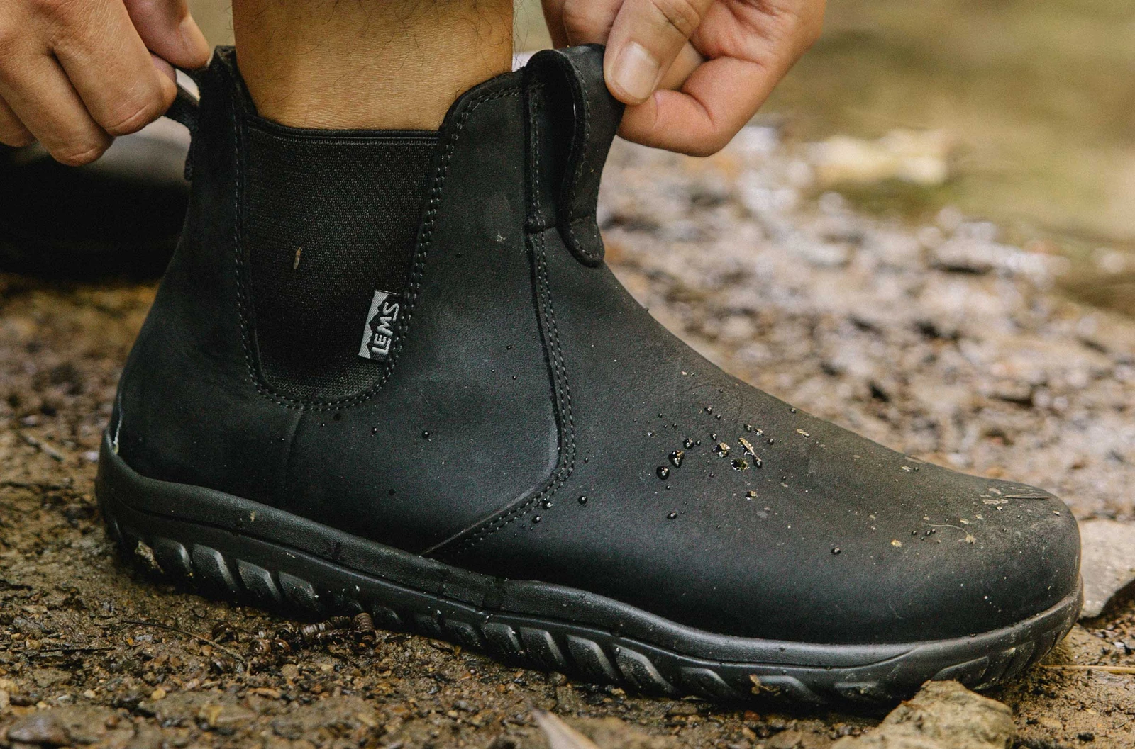 Lems Chelsea Barefoot Boot Waterproof — Obsidian (мужские), фото 2