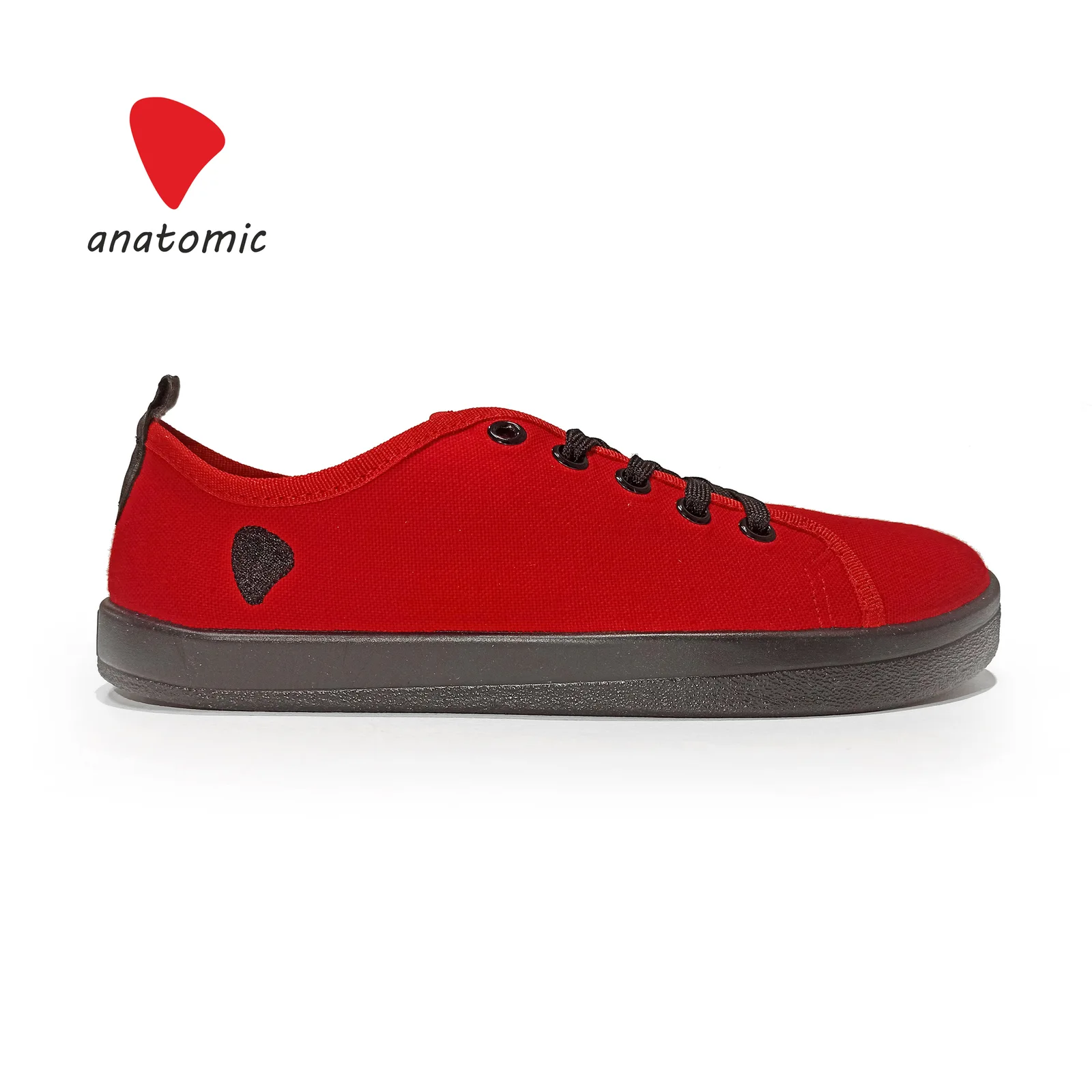 Кеды Anatomic STARTER — A16