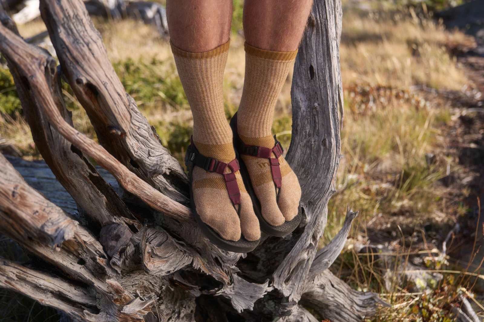 Носки Bedrock Sandals Crew Performance Split-Toe, фото 2