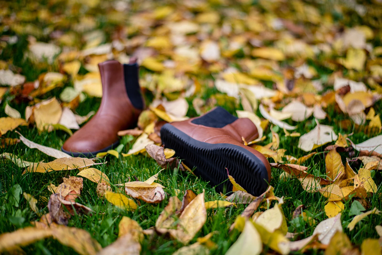 Ботинки Ahinsa Chelsea Barefoot — коричневый, фото 9